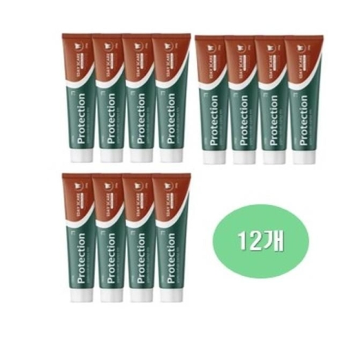 살림백서 하루세번 프로텍션 불소 치약 250g (12개)_이미지