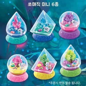 쏘매직 미니 나무키우기 총6종 랜덤1종 미니 트리