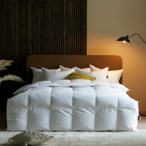 ����ƾ˾ؾ� �ﷻ��Ÿ�� ������ ����Ʈ��� ����ī �����̺�