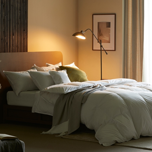 헬렌스타인 폴란드 엑스트라웜 폴스카 구스이불 (싱글 S)_이미지