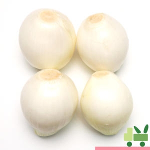 사라상회 국산 깐양파 1등 10kg