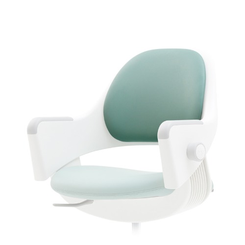 �õ��� �׼����� ���� ��ü�� ���� Ŀ�� S509N