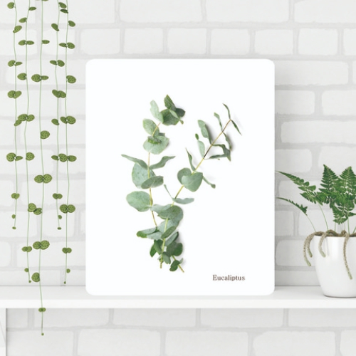 가온 유칼립투스B 접이식 액자테이블 (60x48cm)_이미지