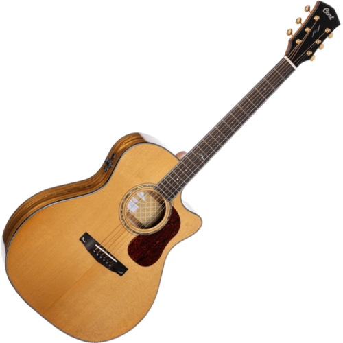 ��Ʈ Gold-A6 Bocote ������ƽ ��Ÿ NAT