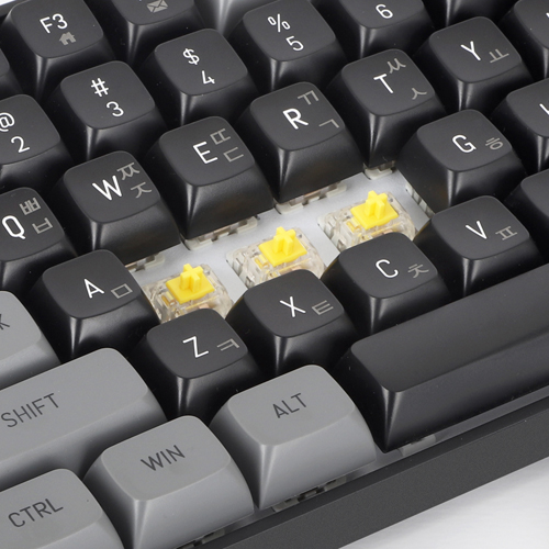 darkFlash GD100 유무선 기계식 (흑설탕)_이미지