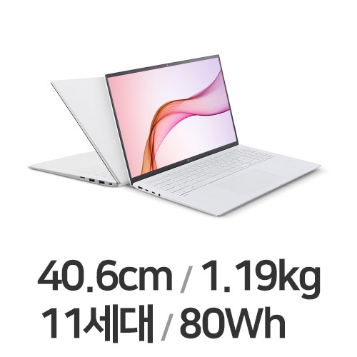 LG전자 2021 그램16 16ZD90P-GX56K WIN10 (SSD 256GB)_이미지