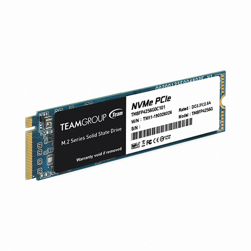 TeamGroup MP34 M.2 NVMe (256GB)_이미지