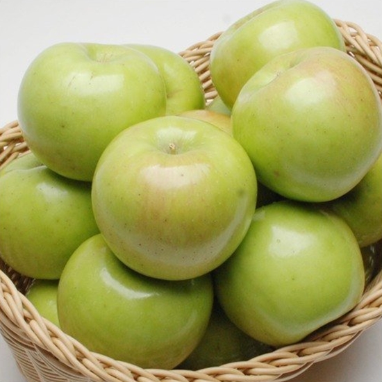 ���״ó�� ���� �ƿ������ 34~38��(��) 10kg