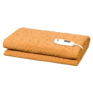 보국전자 BK-613B(2인용)