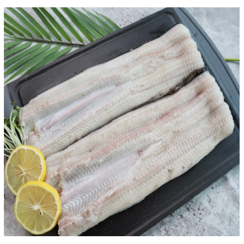 마산푸드 자포니카 민물장어 특대 1kg (2~3마리)