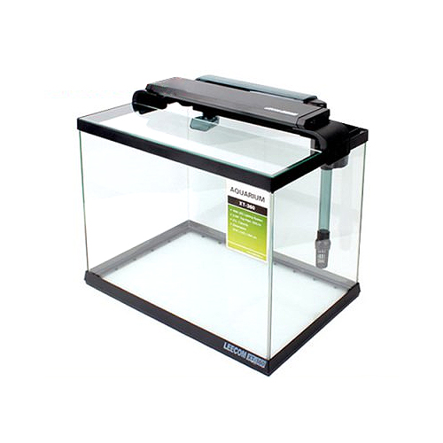 ���� ��ü������ XT-300