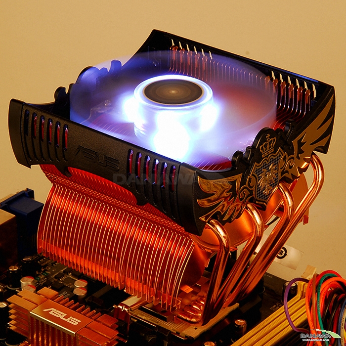 ASUS Royal Knight New_이미지
