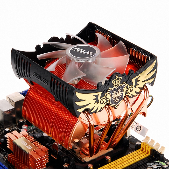 ASUS Royal Knight New_이미지