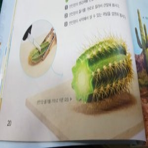 ��ǰ �� �̹���