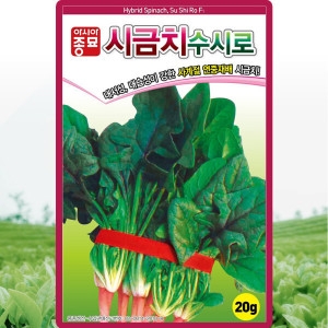 아시아종묘 시금치 종자씨앗 시금치수시로 씨앗 20g 수시로시금치 씨앗종자 시금치씨앗 수시로 시금치씨 종자_이미지