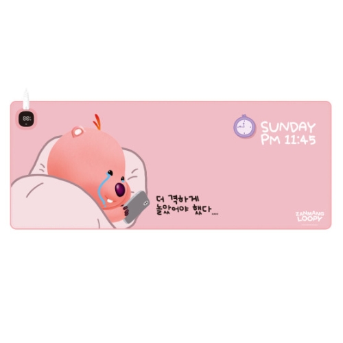 ROYCHE 잔망루피 온열 장패드