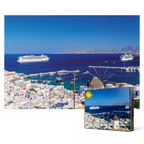 [�Ҹ�] ������ 1000�ǽ� �������� ���ڳ뽺 Ǫ�� �ٶ� �ױ�