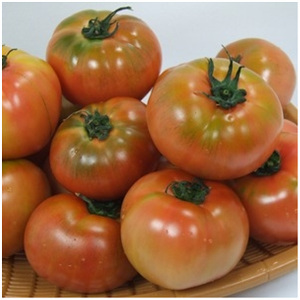 행복한농부 찰토마토 5번 소과 5kg (1개)_이미지