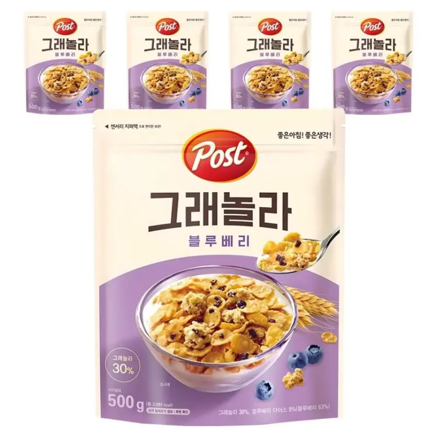 동서식품 포스트 그래놀라 블루베리 500g (5개)_이미지