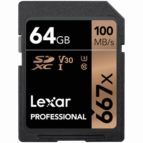 Lexar SD Professional 667X 2019