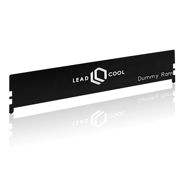 LEADCOOL 튜닝용 <b>더미</b><b>램</b>