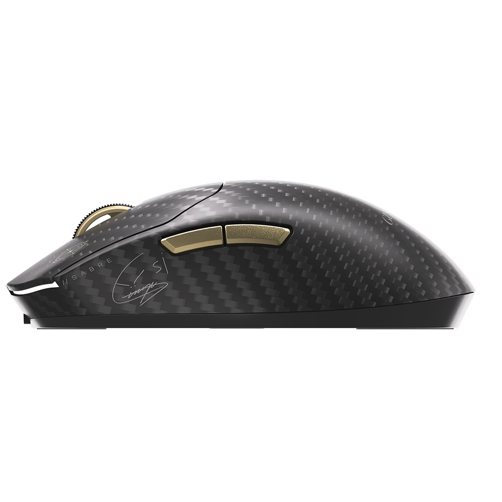 CORSAIR ���̹� v2 PRO CF ���� �������� �����