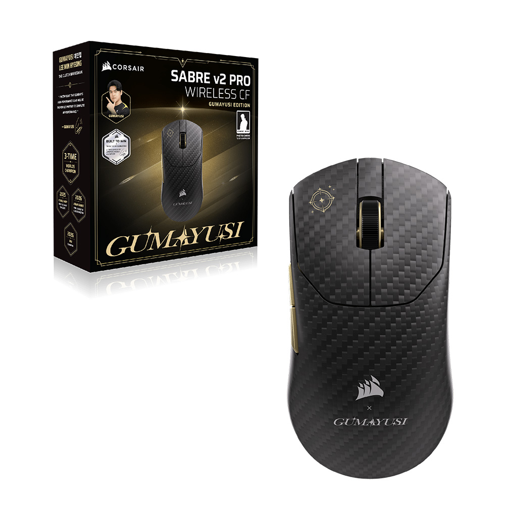 CORSAIR ���̹� v2 PRO CF ���� �������� �����