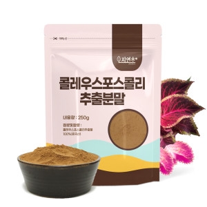 콜레우스 포스콜리 추출물 분말 가루 1kg 250g x 4개