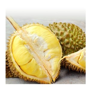 자연향기 냉동통 두리안 아이스박스 과일의왕