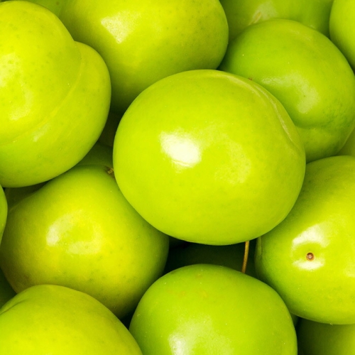 ���ѽ�Ź ������ �ƿ������ �ߴ�� 5kg