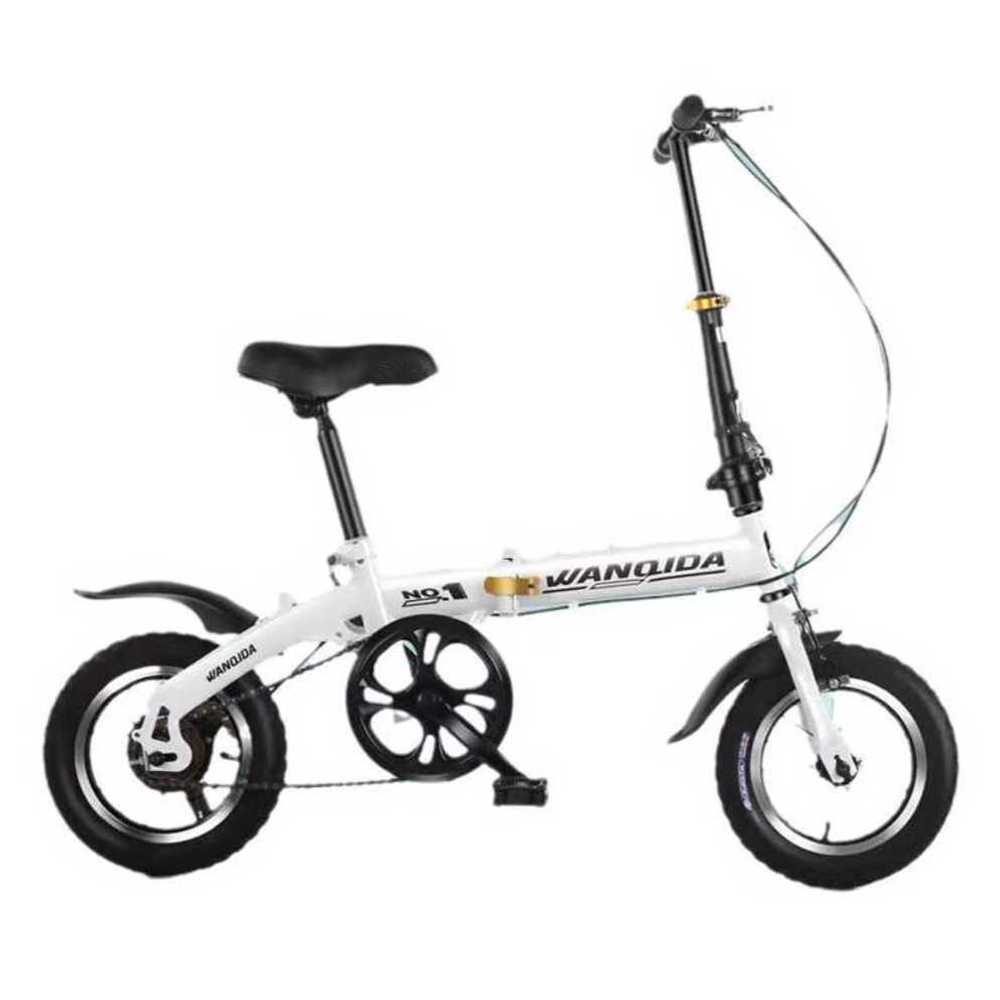 에이스오픽스 12 해외구매