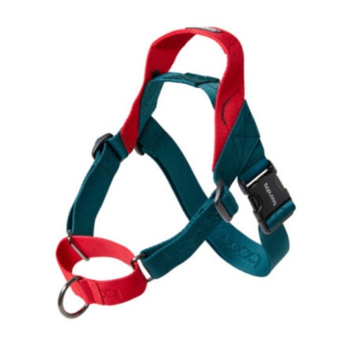  분독 0109 마틴게일 하네스 그린