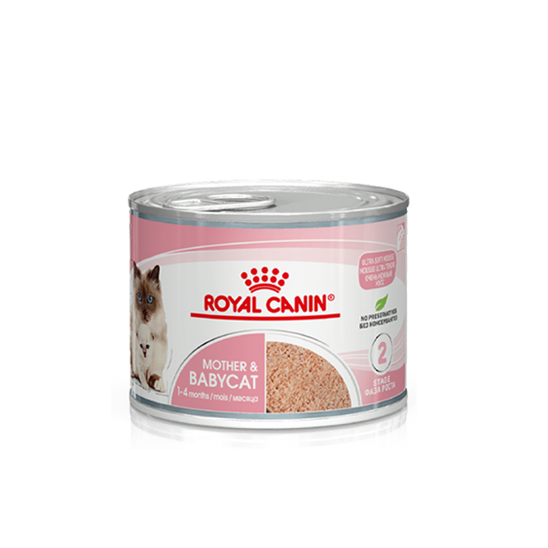 캣 마더 앤 베이비캣 캔 195g