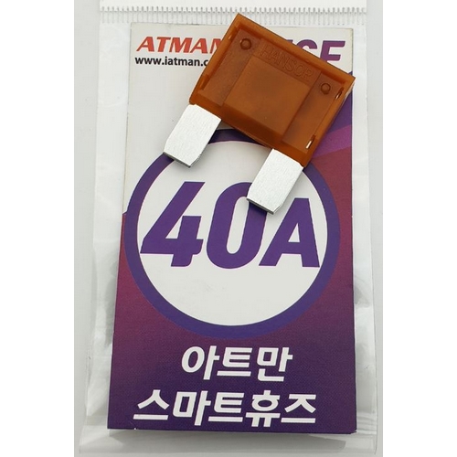 초대형 LED 자동차 휴즈 AMP-40A