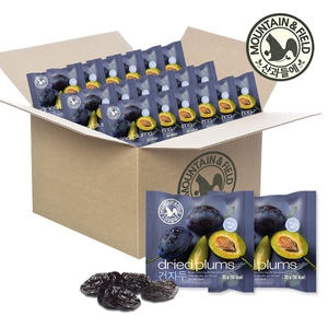 산과들에 건자두 20g [100개]