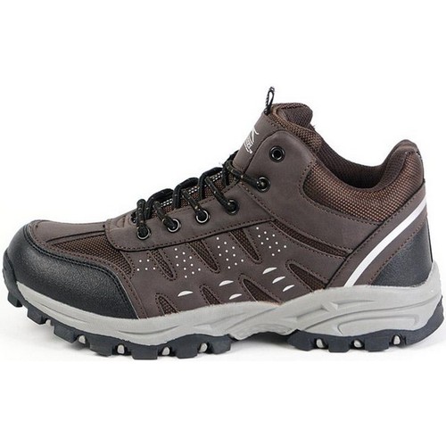 슬레진저 페트라_이미지