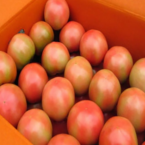 땡이네과일가게 찰토마토 5번 소과 5kg (1개)_이미지