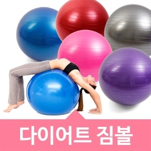 위시 다이어트 짐볼 [55cm]