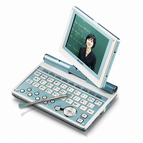 ���� ����� RD-CR3100