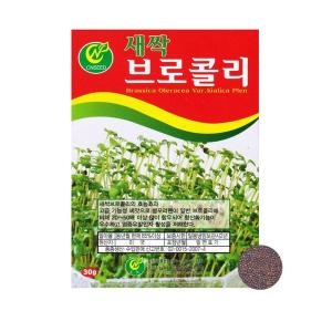 새싹 브로콜리씨앗/30g 브로콜리싹 브로콜리 씨 씨앗