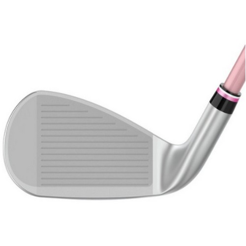 던롭 젝시오 12 여성용 아이언 카본 (병행 8개 보르도)_이미지