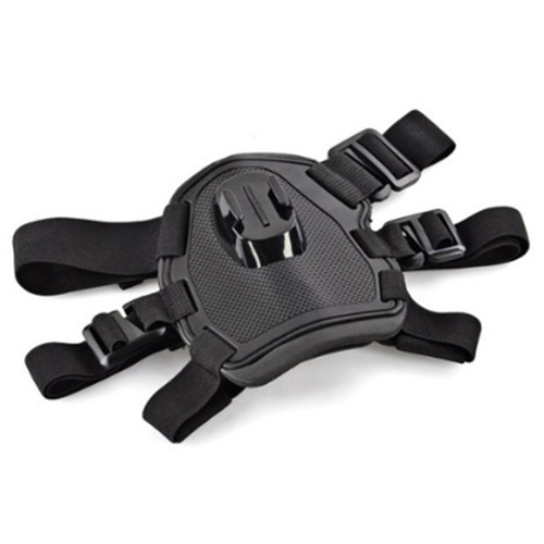 콩 (KONG) 애완견 전용 마운트