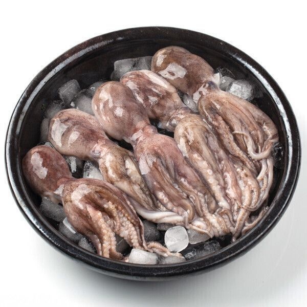 쭈꾸미 1kg_이미지