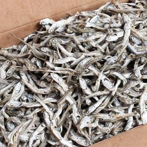 푸르젠 국내산 멸치 중멸 1.5kg