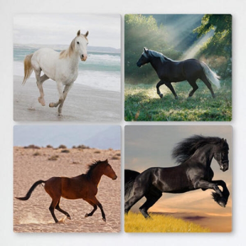 �ٹ� cf363-��Ƽ����_�����ǻ�¡��