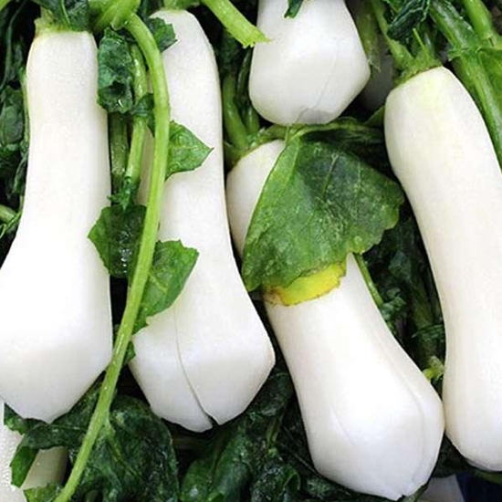 전라김치 절임 알타리무 2kg (1개)_이미지
