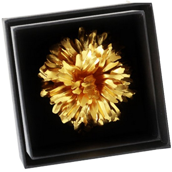 ���ؽǹ� ī���̼� ���ġ