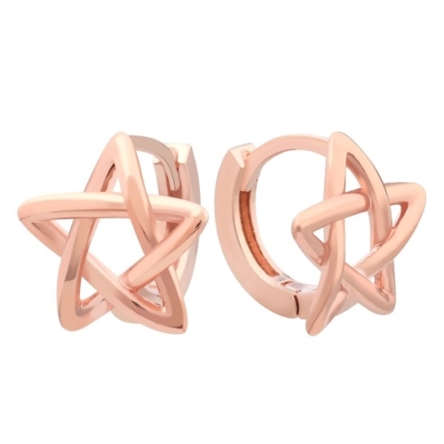 라울스톤 스타라인 14K 로즈골드 라인 별 원터치링 금침 귀걸이_10823499_588701