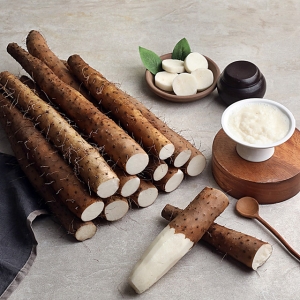 유명산지 장마 중품 2kg