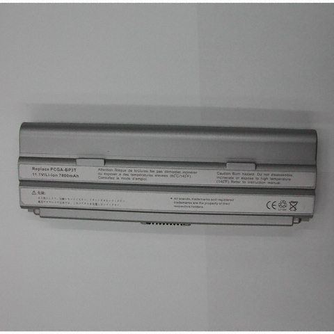 SONY BP3T 배터리_이미지